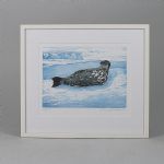 1641 7163 LITOGRAPH IN C..